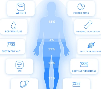 ما وراء المقياس: inbody vs xianku3d - معركة البصيرة في المساحات التجارية